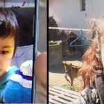 Segítség: Keresik az eltűnt autista kisfiút – Videó